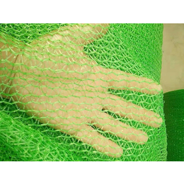 绿色盖土网价格-巨东化纤绳网现货充足-永仁绿色盖土网