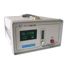陕西菲恩特FN111B便携式氧量分析仪