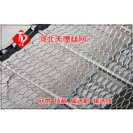 子长输送网带-天德不锈钢网带设计-铁屑移除机输送网带