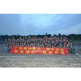 南丰物流-中山神湾镇到香港夹柜专线物流-香港夹柜专线物流