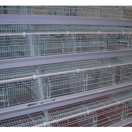 禽翔笼具厂(图)-鸡笼生产厂家-鸡笼