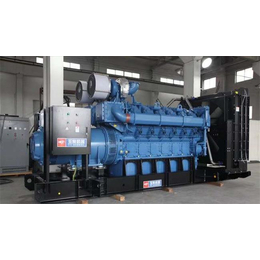 900KW玉柴发电机组-玉柴发电机组-潍坊德曼动力科技公司