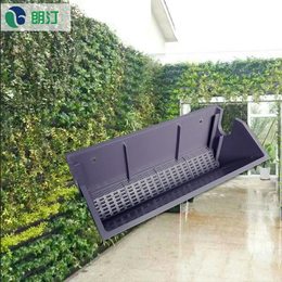 朗汀立体绿化 植物墙绿化经典案例 垂直绿化案例