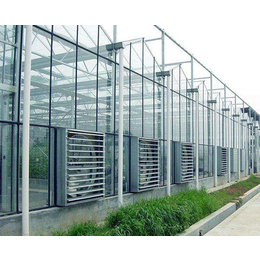 安徽玻璃大棚-合肥小农人大棚厂-智能玻璃大棚多少钱