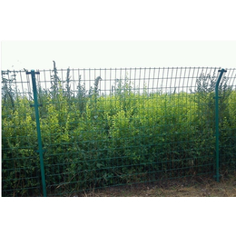鄂州蔬菜种植基地防护网围栏网 果园果树种植护栏网价格