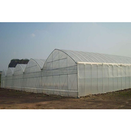 华牧养殖品质保证(图)-阳光温室大棚图片-南平市阳光温室大棚