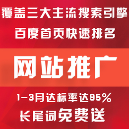 广州全网推广  网站推广公司信息 网站优化推广 实现首页霸屏