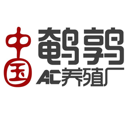 河南省洛阳市鹌鹑苗多少钱一只