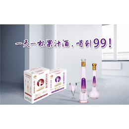 果汁酒标准-果汁酒-广东华子龙酒(图)