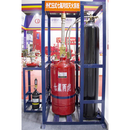 定制外贮压式七氟丙烷灭火设备备压式系统气体自动灭火装置系统