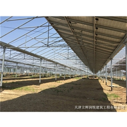 立辉润悦公司-兰州蘑菇温室工程-蘑菇温室工程报价