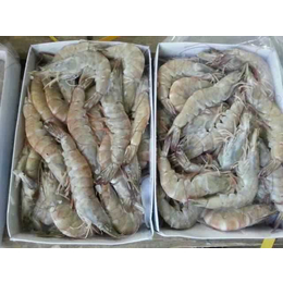 青岛港冷冻白虾进口报关需要多少天