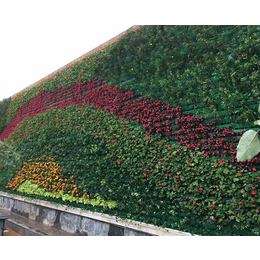 宣城墙体绿植-安徽洸森绿化工程-绿植墙体施工