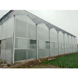 玻璃阳光板温室-阳光板温室-青州瀚洋农业