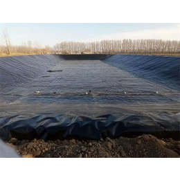 河道土工膜-东诺工程材料-河道土工膜生产厂家