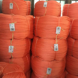 聚乙烯绳子厂家-远翔绳网-重庆聚乙烯绳