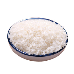 中农一号(在线咨询)-揭阳糙米-现磨现吃鲜米价格