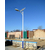 张家口6米60W太阳能路灯厂家  太阳能路灯安装与维修缩略图4