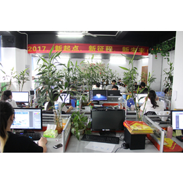 宁波网络公司 提供网站设计 旺铺装修 网站建设