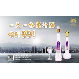 广东华子龙酒厂-恩施果汁酒-果汁酒报价