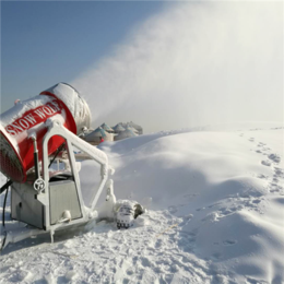 河南诺泰克人智结合半自动化造雪机厂家