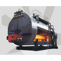 立式燃气锅炉-净昇环保设备-陕西燃气锅炉