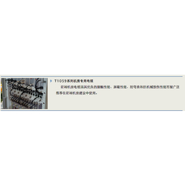 温度变送器久茂-JUMO-深圳斯图加特有限公司