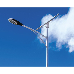 山西太阳能路灯-东臻太阳能板厂家-风力太阳能路灯