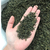 深加工原料绿茶厂-【峰峰茶业】品质保障-台州深加工原料绿茶缩略图1