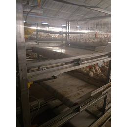蛋鸡笼子规格及安装图-运盈机械鸡笼生产厂家-四川鸡笼子
