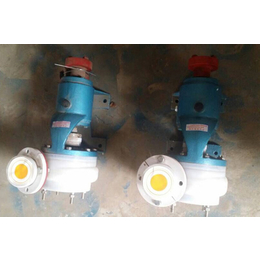 100FSB-50合金泵(图),*塑料泵,内蒙古塑料泵