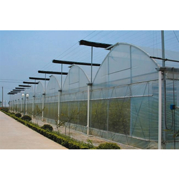 青州瑞青农林科技(图)-玻璃智能温室大棚报价-丽江温室大棚
