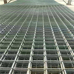 百鹏丝网(图)-绿色电焊网-电焊网