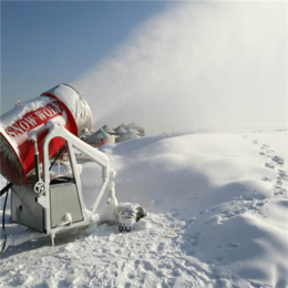 河南诺泰克半自动系统经典雪狼造雪机