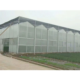 大型中空玻璃温室-青州瀚洋农业-中空玻璃温室
