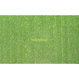 人造草坪足球场-绿舒坦-人造草坪