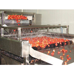 果蔬净菜加工流水线操作-诸城市诺尔食品机械