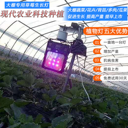 连云港植物补光灯-红皎阳植物补光灯厂家-植物补光灯哪家好
