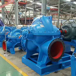 新楮泉泵业公司-福州大流量双吸泵厂家