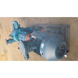 程跃水泵厂家(在线咨询)-三亚压滤机加压泵-煤泥压滤机加压泵