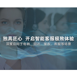 上海智能语音机器人-安徽笛启科技公司-智能语音机器人多少钱