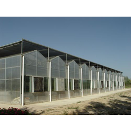 巴中连栋温室-青州建发温室建设厂-塑料连栋温室