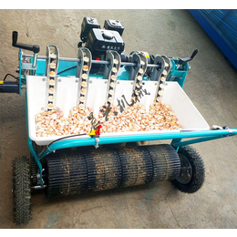 潾钰奇机械(图)-蒜瓣播种机-大蒜播种机