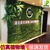 门头招牌广告绿化背景墙室内装饰塑料绿植墙缩略图3
