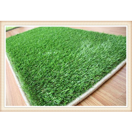 南昌便宜的假草草坪地毯屋顶塑料草坪绿草坪厂家供货