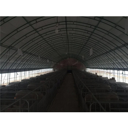 华牧养殖客户至上(图)-新式养猪大棚厂家-宿州新式养猪大棚