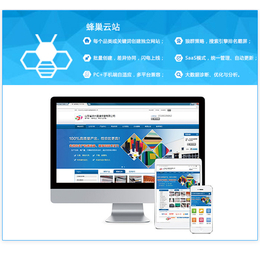 公司网站开发-蓬莱网站开发-做网站，找烟台雷迅