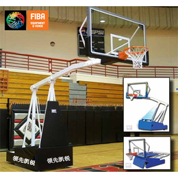 训练级篮球架 篮球馆训练使用的篮球架 篮球练习篮球架