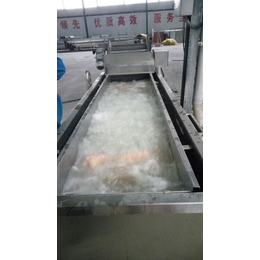 鸭肉解冻流水线图片-解冻流水线图片-龙翔工贸食品机械(图)