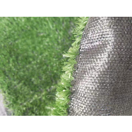 巨东化纤(图)-塑料草坪网-益阳草坪网